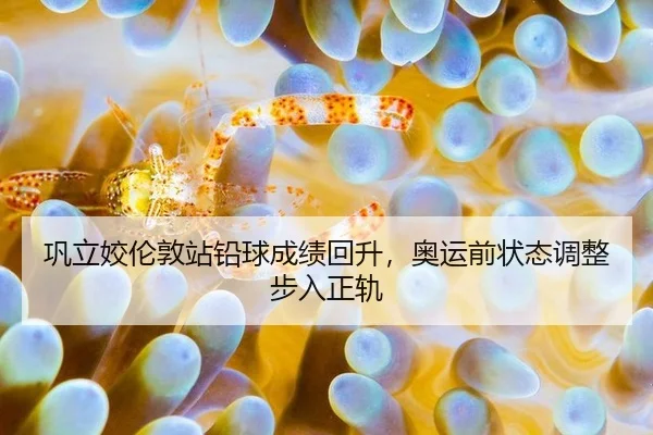 gong-li-jiao-lun-dun-zhan-qian-qiu-cheng-ji-hui-sheng-ao-yun-qian-zhuang-tai-tiao-zheng-bu-ru-zheng-gui-3-902.jpg