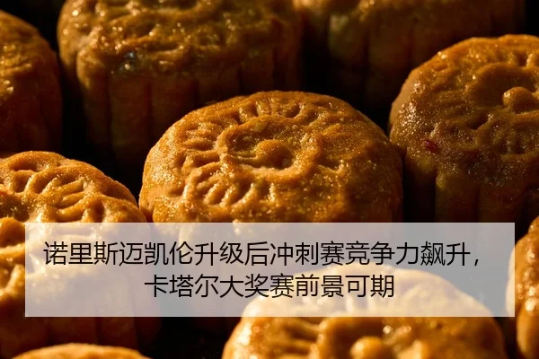 nuo-li-si-mai-kai-lun-sheng-ji-hou-chong-ci-sai-jing-zheng-li-biao-sheng-ka-ta-er-da-jiang-sai-qian-jing-ke-qi-2-564.jpg