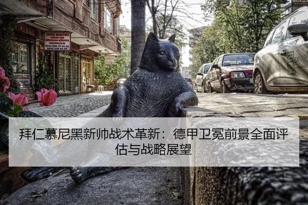 bai-ren-mu-ni-hei-xin-shuai-zhan-shu-ge-xin-de-jia-wei-mian-qian-jing-quan-mian-ping-gu-yu-zhan-lve-zhan-wang-2-234.jpg