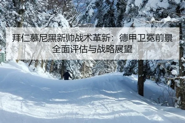 bai-ren-mu-ni-hei-xin-shuai-zhan-shu-ge-xin-de-jia-wei-mian-qian-jing-quan-mian-ping-gu-yu-zhan-lve-zhan-wang-3-178.jpg
