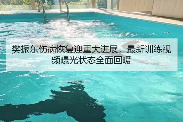 樊振东伤病恢复迎重大进展，最新训练视频曝光状态全面回暖