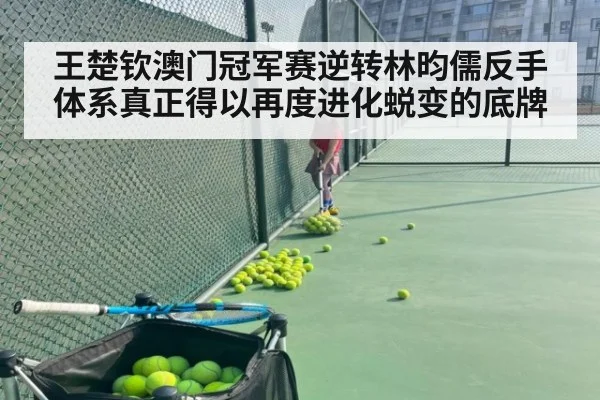 王楚钦澳门冠军赛逆转林昀儒反手体系真正得以再度进化蜕变的底牌